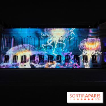 En voie d'illumination : Lumières de la nature : le festival nocturne hivernal du Jardin des Plantes - fotor 1762431514038