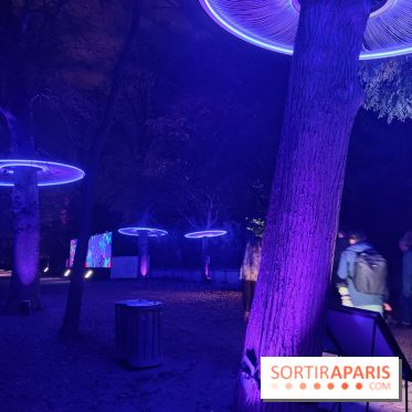 En voie d'illumination : Lumières de la nature : le festival nocturne hivernal du Jardin des Plantes