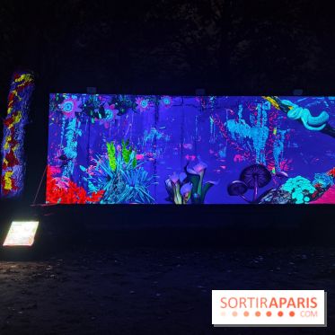 En voie d'illumination : Lumières de la nature : le festival nocturne hivernal du Jardin des Plantes