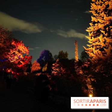 En voie d'illumination : Lumières de la nature : le festival nocturne hivernal du Jardin des Plantes - fotor 1762431370942