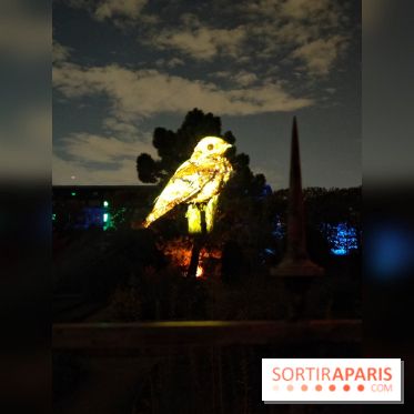 En voie d'illumination : Lumières de la nature : le festival nocturne hivernal du Jardin des Plantes - fotor 1762431389482