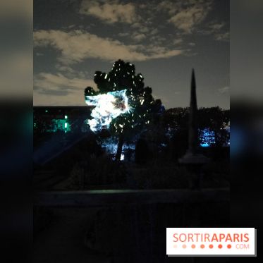 En voie d'illumination : Lumières de la nature : le festival nocturne hivernal du Jardin des Plantes