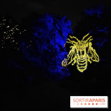 En voie d'illumination : Lumières de la nature : le festival nocturne hivernal du Jardin des Plantes - fotor 1762431441677