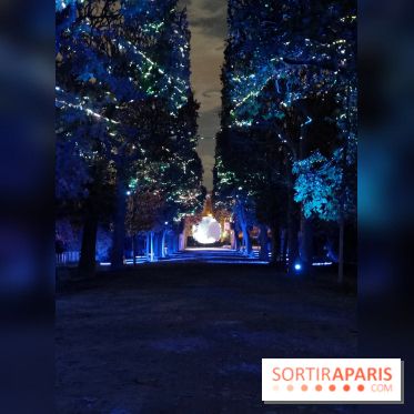 En voie d'illumination : Lumières de la nature : le festival nocturne hivernal du Jardin des Plantes
