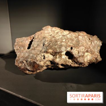 En voie d'illumination : Lumières de la nature : le festival nocturne hivernal du Jardin des Plantes - fotor 1762431619449