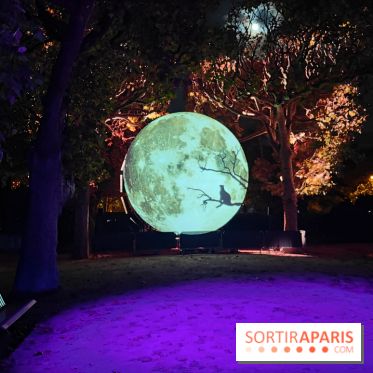 En voie d'illumination : Lumières de la nature : le festival nocturne hivernal du Jardin des Plantes - fotor 1762431759366