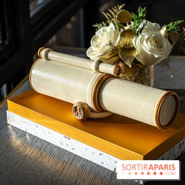 Bûche de Noël du Jules Verne : Voyage Extraordinaire - A7C09595