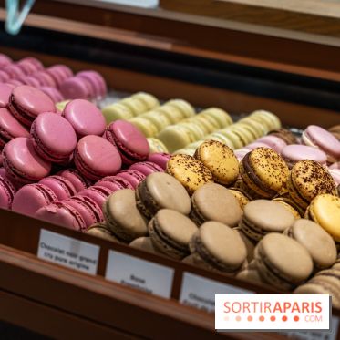 Bûches de Noël du jardin Sucré 2025
