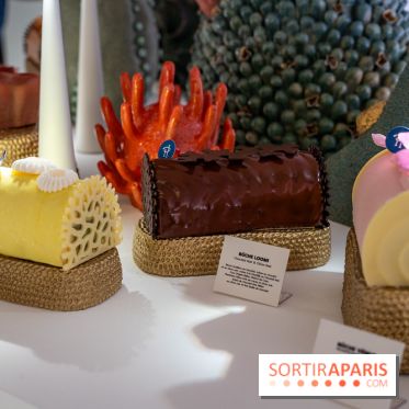 Bûches de Noël et créations de fête 2025 de Pierre Hermé : les Abysses - A7C07837