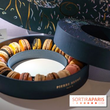 Bûches de Noël et créations de fête 2025 de Pierre Hermé : les Abysses - A7C07842