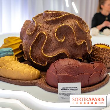 Bûches de Noël et créations de fête 2025 de Pierre Hermé : les Abysses - A7C07849