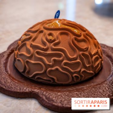 Bûches de Noël et créations de fête 2025 de Pierre Hermé : les Abysses - A7C07858