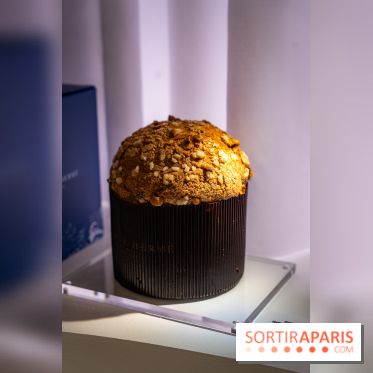 Bûches de Noël et créations de fête 2025 de Pierre Hermé : les Abysses - A7C07859