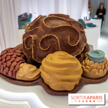 Bûches de Noël et créations de fête 2025 de Pierre Hermé : les Abysses - A7C07861