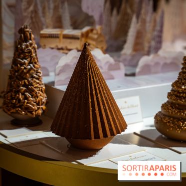 Bûche de Noël Lenôtre 2025 : Le train des Merveilles et les créations de fête - photos