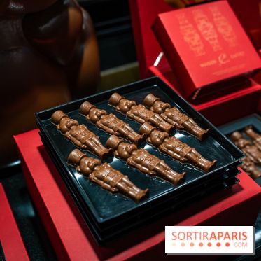 Bûches de Noël de Pascal Caffet 2025 et créations de fête - A7C08597