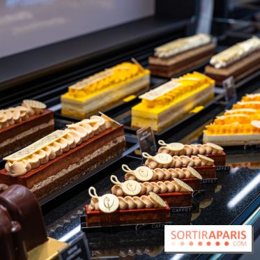Bûches de Noël de Pascal Caffet 2025 et créations de fête