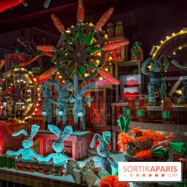 Les vitrines de Noël 2025 du Bon Marché : le grand magasin se métamorphose en (Bon) Marché de Noël - IMG 0715