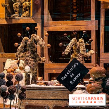 Les vitrines de Noël 2025 du Bon Marché : le grand magasin se métamorphose en (Bon) Marché de Noël - IMG 0726