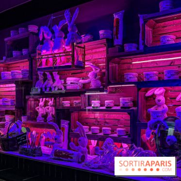 Les vitrines de Noël 2025 du Bon Marché : le grand magasin se métamorphose en (Bon) Marché de Noël