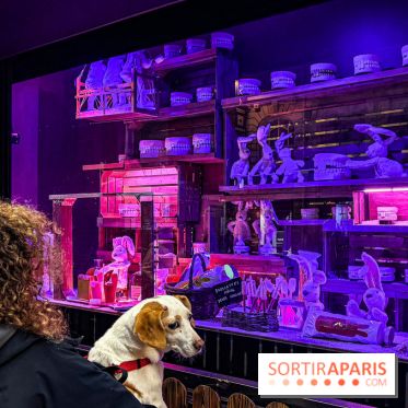 Les vitrines de Noël 2025 du Bon Marché : le grand magasin se métamorphose en (Bon) Marché de Noël - IMG 0762