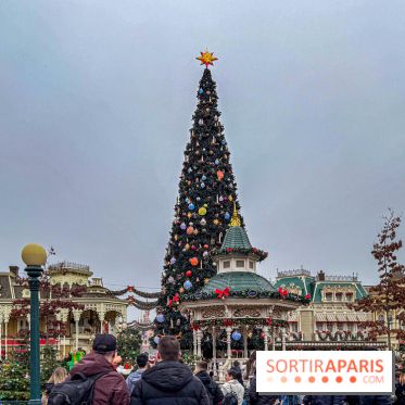 Noël à Disneyland Paris : Disney's Enchanted Christmas - sapin