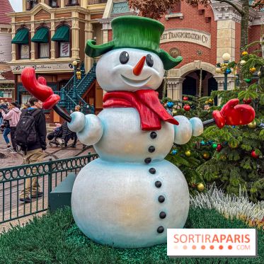 Noël à Disneyland Paris : Disney's Enchanted Christmas - IMG 1038