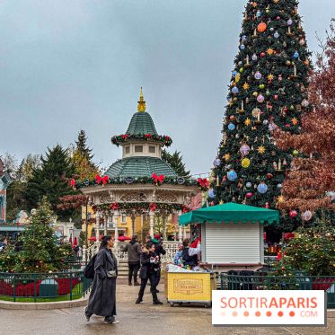 Noël à Disneyland Paris : Disney's Enchanted Christmas