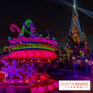 Noël à Disneyland Paris : Disney's Enchanted Christmas - IMG 1298