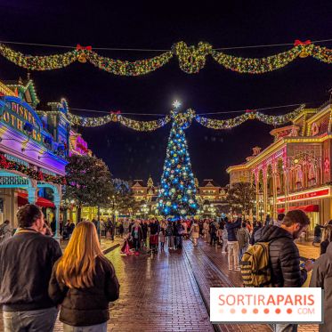 Noël à Disneyland Paris : Disney's Enchanted Christmas - sapin