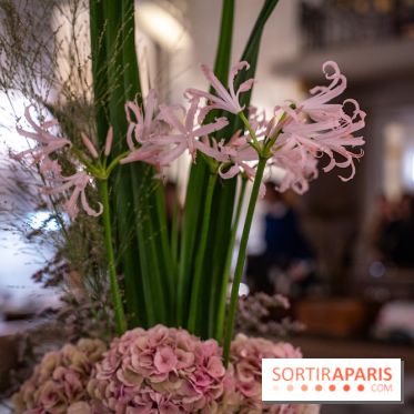 Florian Favario, le chef 2 étoiles en résidence au Lutetia, les photos