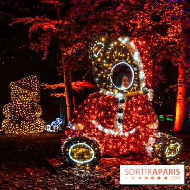 Lumières en Seine 2025, les photos du parcours de lumières - A7C00394