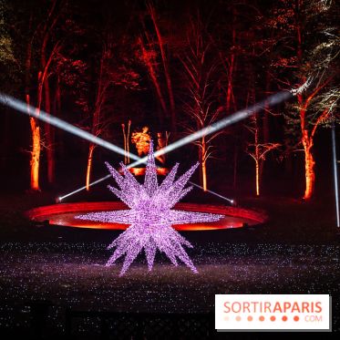 Lumières en Seine 2025, les photos du parcours de lumières - A7C00425