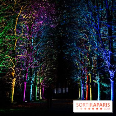 Lumières en Seine 2025, les photos du parcours de lumières - A7C00438