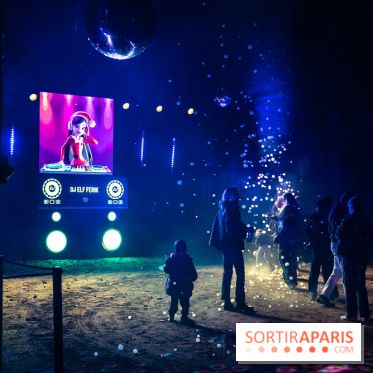 Lumières en Seine 2025, les photos du parcours de lumières - A7C00460