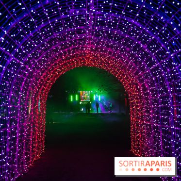 Lumières en Seine 2025, les photos du parcours de lumières - A7C00472