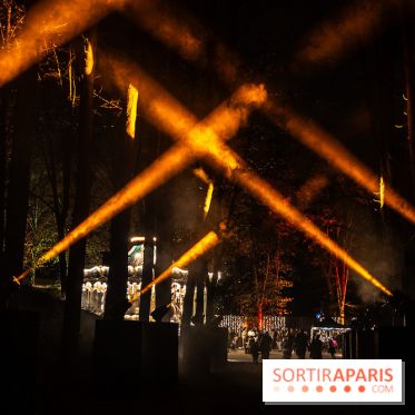 Lumières en Seine 2025, les photos du parcours de lumières - A7C00573