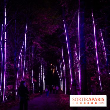 Lumières en Seine 2025, les photos du parcours de lumières - A7C00577