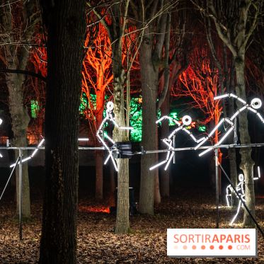 Lumières en Seine 2025, les photos du parcours de lumières - A7C00605