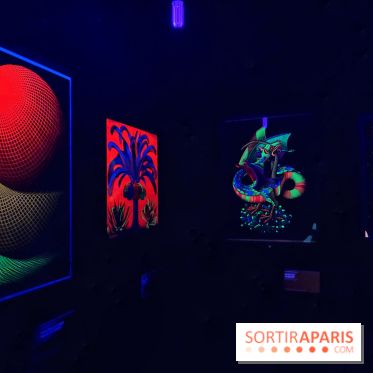 MC. Escher à la Monnaie de Paris - IMG 0879