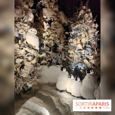 Le Grand Noël 2025 du château de Vaux-le-Vicomte : des décorations magiques pour une balade hivernale mémorable - fotor 1763143898130