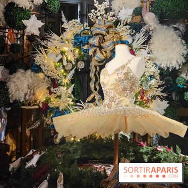 Le Grand Noël 2025 du château de Vaux-le-Vicomte : des décorations magiques pour une balade hivernale mémorable - fotor 1763143823985