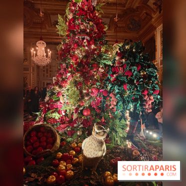 Le Grand Noël 2025 du château de Vaux-le-Vicomte : des décorations magiques pour une balade hivernale mémorable - fotor 1763143767663