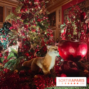 Le Grand Noël 2025 du château de Vaux-le-Vicomte : des décorations magiques pour une balade hivernale mémorable - fotor 1763143752676