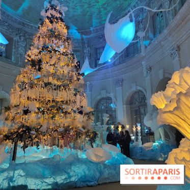 Le Grand Noël 2025 du château de Vaux-le-Vicomte : des décorations magiques pour une balade hivernale mémorable - fotor 1763143714138