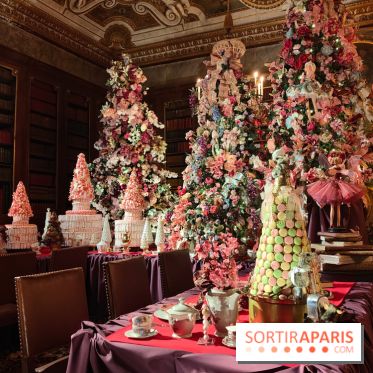 Le Grand Noël 2025 du château de Vaux-le-Vicomte : des décorations magiques pour une balade hivernale mémorable - fotor 1763143628524