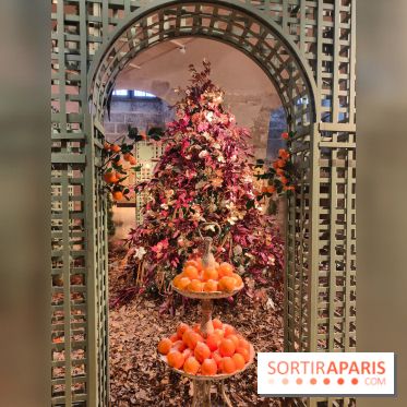 Le Grand Noël 2025 du château de Vaux-le-Vicomte : des décorations magiques pour une balade hivernale mémorable - fotor 1763143392567