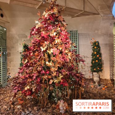 Le Grand Noël 2025 du château de Vaux-le-Vicomte : des décorations magiques pour une balade hivernale mémorable - fotor 1763143439708