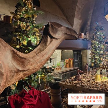 Le Grand Noël 2025 du château de Vaux-le-Vicomte : des décorations magiques pour une balade hivernale mémorable - fotor 1763143407321