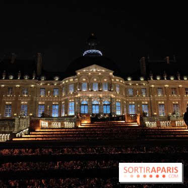 Le Grand Noël 2025 du château de Vaux-le-Vicomte : des décorations magiques pour une balade hivernale mémorable - fotor 1763143210379